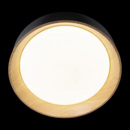 Потолочный светодиодный светильник Loft IT Coin 10202 Black  - 4 купить